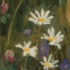 Пейзажи Виктора Васнецова