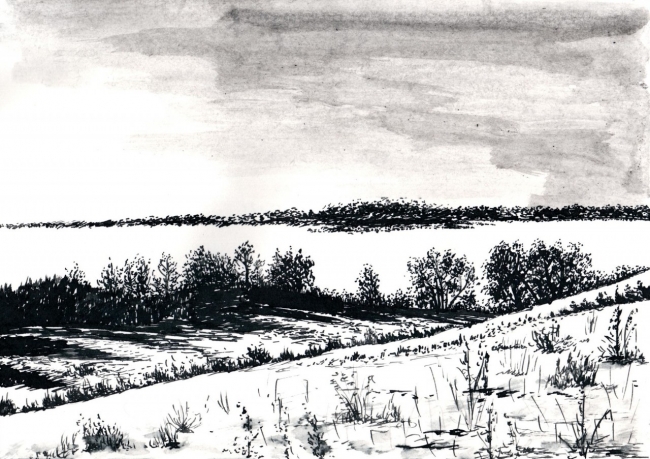 Среди зимы 29 / Among the Winter 29