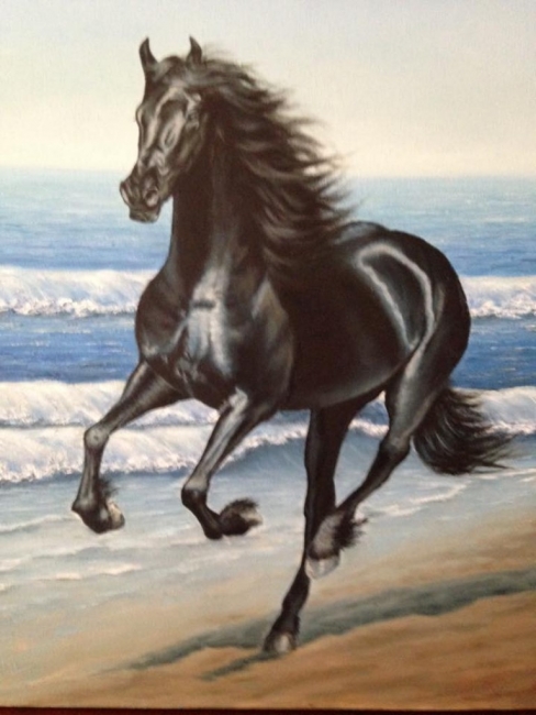 Вороной конь.  Black horse