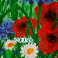 полевой романс