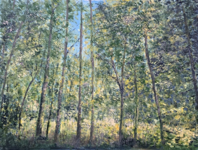 Весенний лес