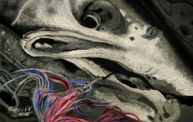 "Steelhead