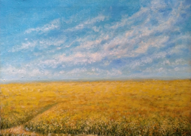 Поле, небо, облака / Field, Sky, Clouds
