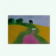 дорога дальняя