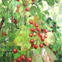Калина