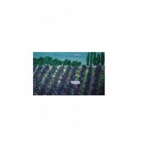  дождь близко