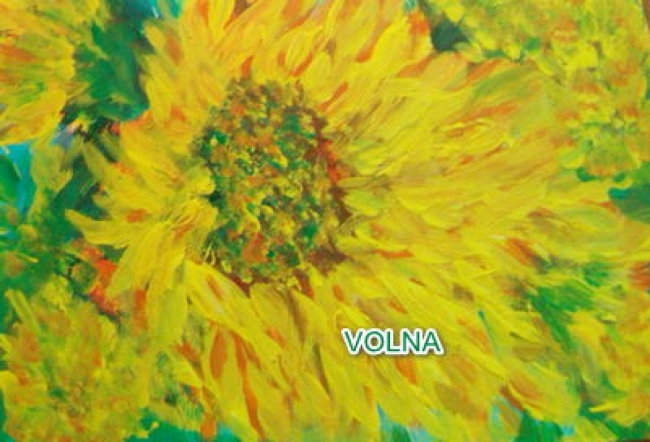 дети солнца