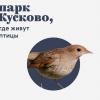 Результаты конкурса айдентики парка Кусково