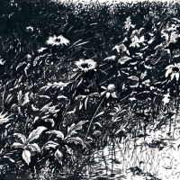 Летний карнавал / The Summer Carnival