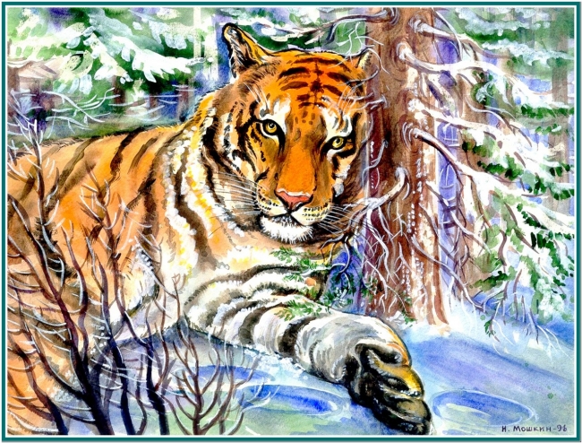 тигр зимой