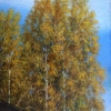 Близкая осень / Autumn is coming 
