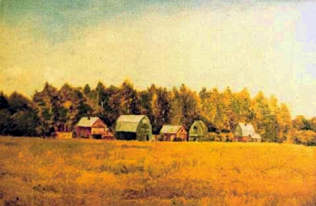 Среди полей. Дачи 1 / Among the Fields. Dachas 1