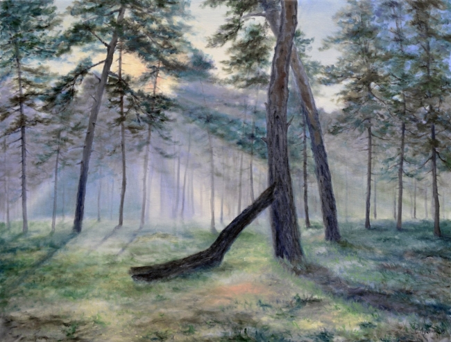 Утреннее солнце