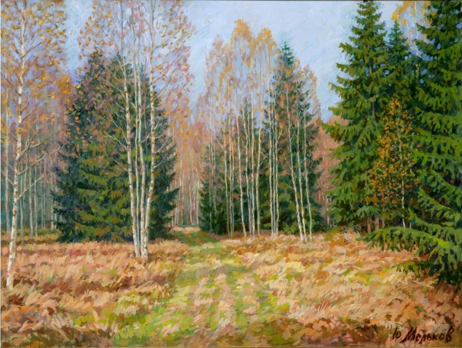 Солнечный день в лесу.       