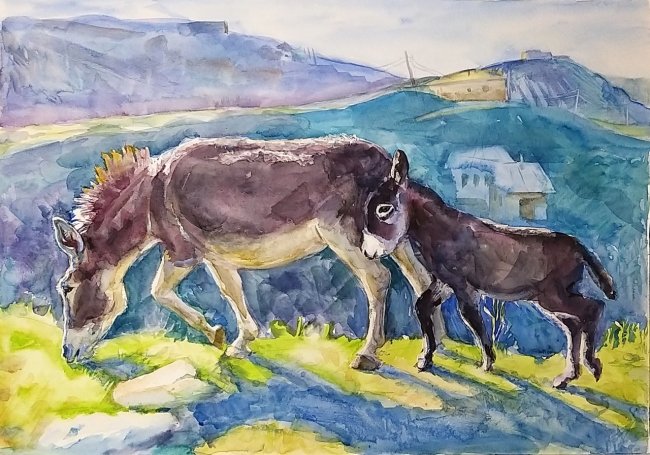 Ослики