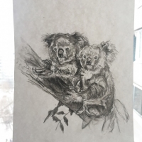 animals (3 работы)