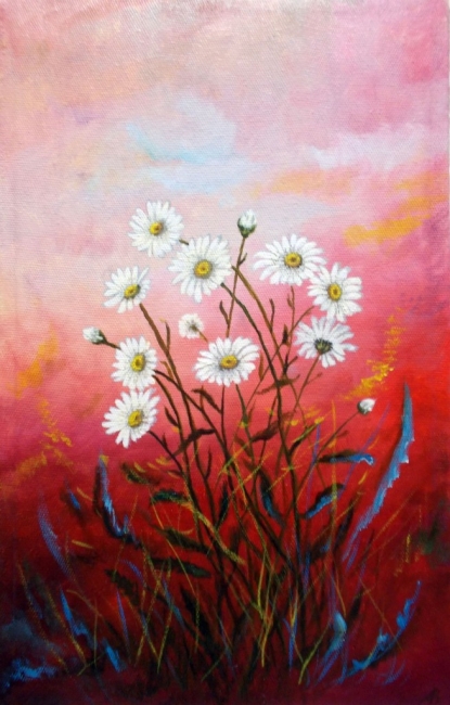 Ромашки / The Daisies