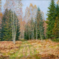 Солнечный день в лесу.       