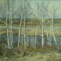 Березы