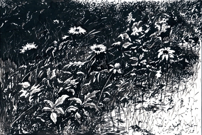 Летний карнавал / The Summer Carnival