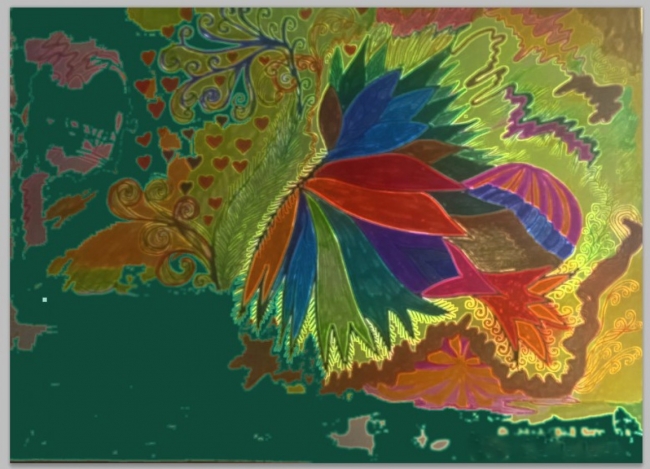 Fauna