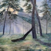 Утреннее солнце