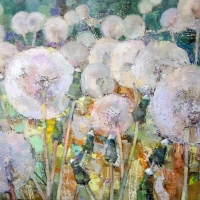 Полевые одуванчики