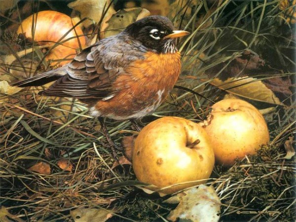 animal_artist_32.jpg