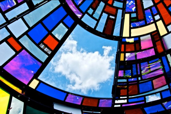 tomfruin(6).jpg