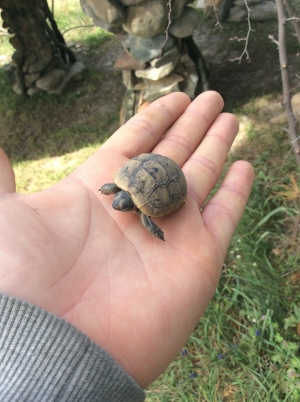Юрий Юрьевич  